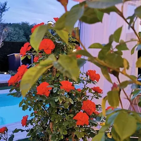Villa Minisuite 30 Mq 2 Posti Con Piscina In